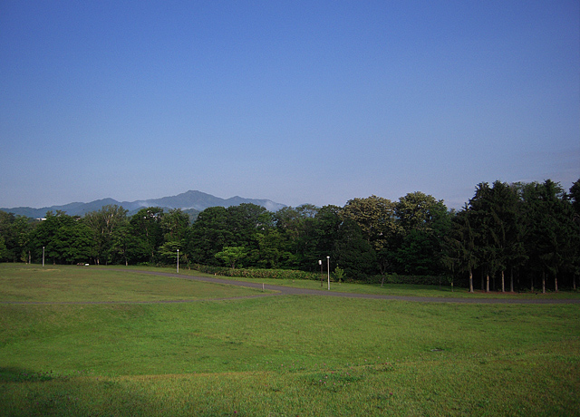b0085526_1535431.jpg
