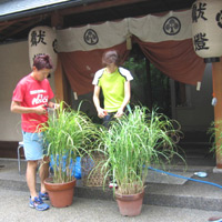 d0033734_17285067.jpg
