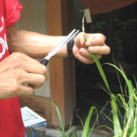 d0033734_17293390.jpg
