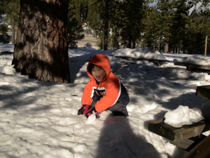 e0057740_8343491.jpg
