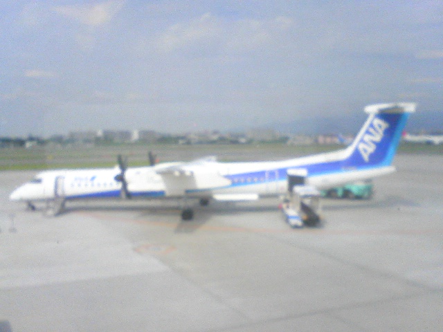 b0070950_8464084.jpg