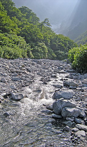 a0001354_20142611.jpg
