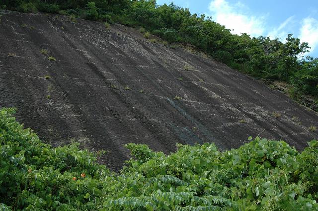b0104861_2275051.jpg