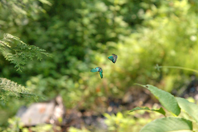 c0043361_23433050.jpg