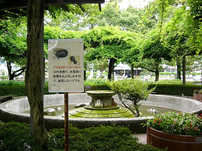 f0106664_7284674.jpg
