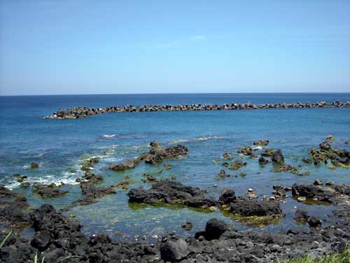 e0097770_0543061.jpg