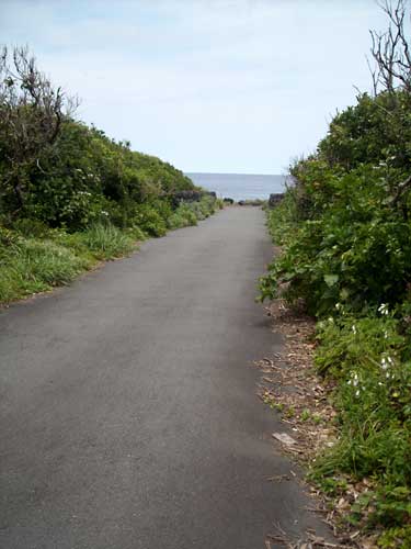 e0097770_0591114.jpg