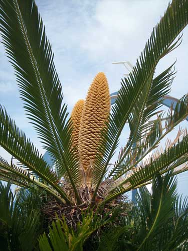 e0097770_17254871.jpg