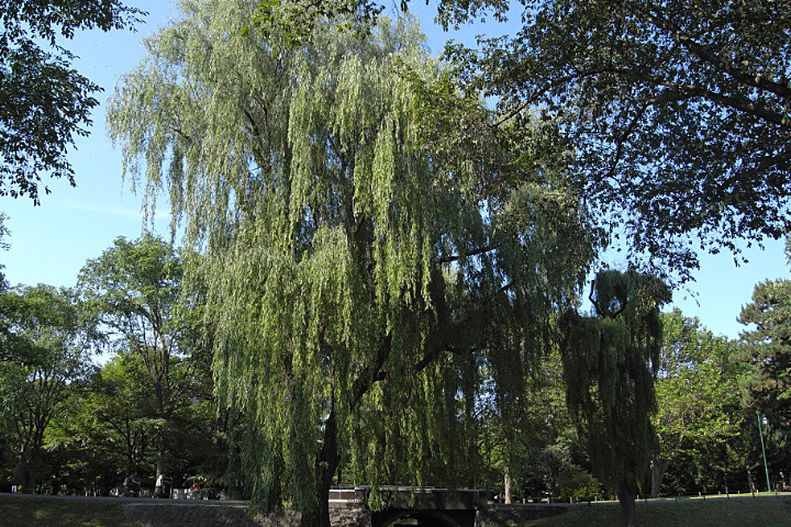 e0100772_21584877.jpg