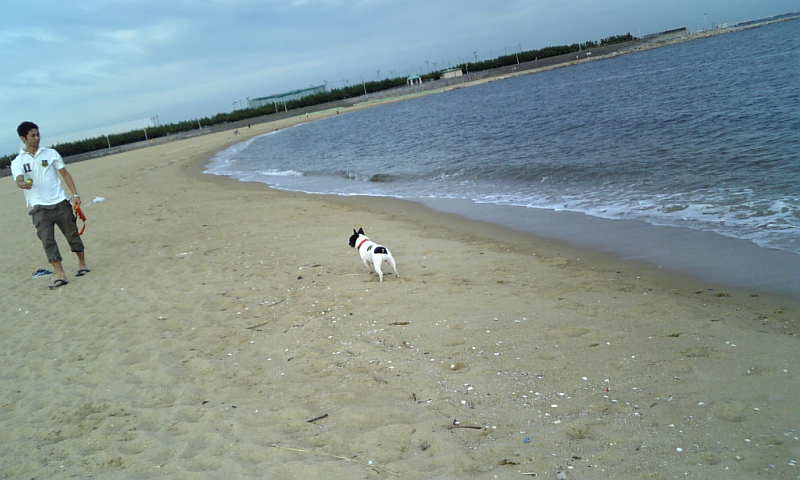 b0130273_084851.jpg