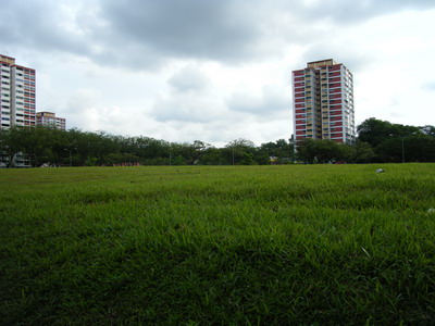 a0002177_21493464.jpg