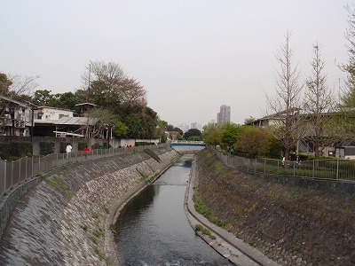 c0105785_1013921.jpg