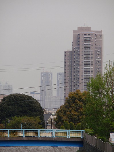 c0105785_10141655.jpg