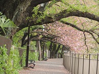 c0105785_10265737.jpg