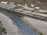 c0105785_10594166.jpg