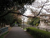 c0105785_1083839.jpg