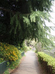 c0105785_9315853.jpg