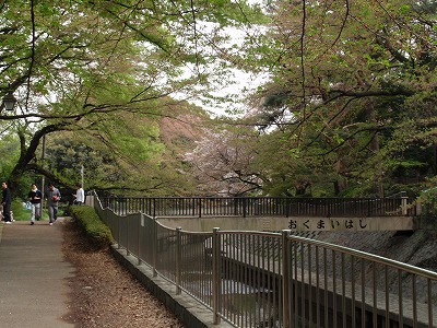 c0105785_947396.jpg