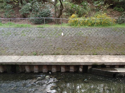 c0105785_9595254.jpg