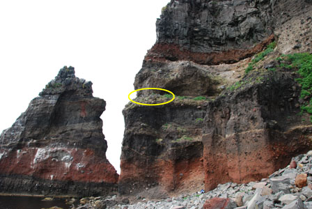 f0159390_178328.jpg