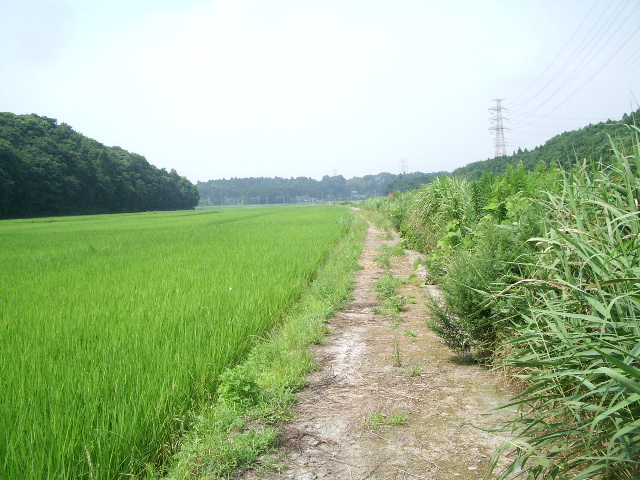 e0025300_20124370.jpg