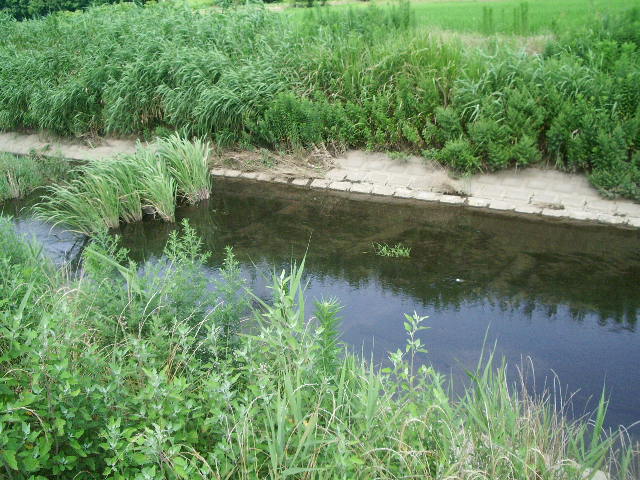 e0025300_2013249.jpg