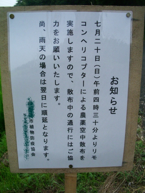 e0025300_20144670.jpg