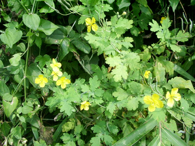 e0025300_20202844.jpg