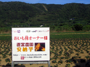 b0076710_1135221.jpg