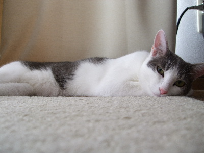 c0006312_2012355.jpg