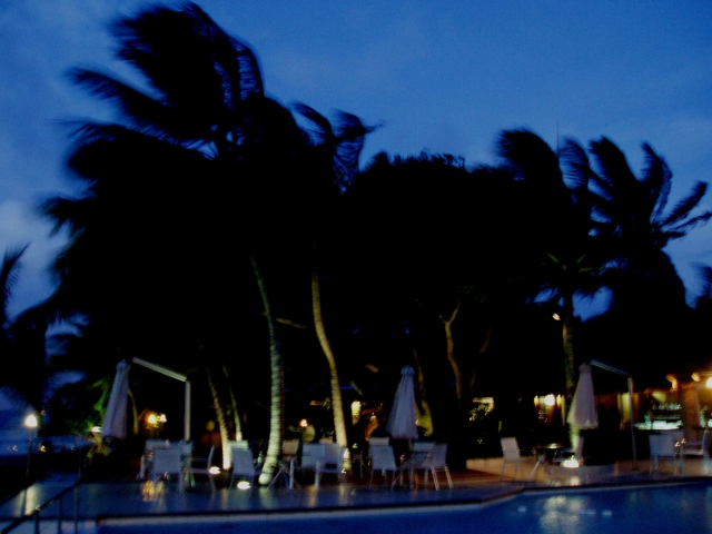 a0000014_10123970.jpg