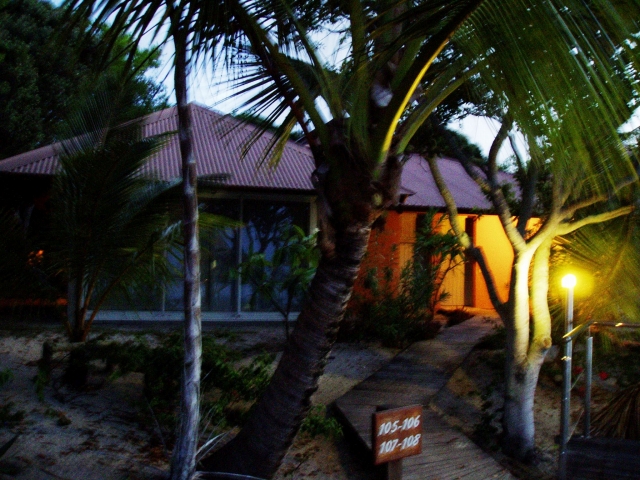 a0000014_10132972.jpg