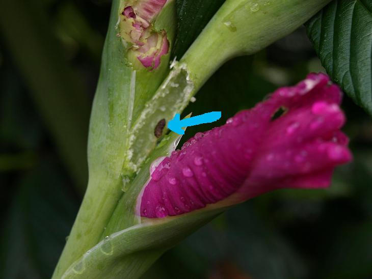 c0086014_751564.jpg