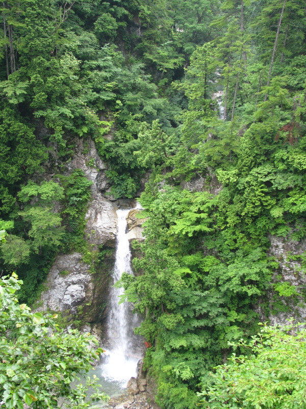 a0087816_18255645.jpg