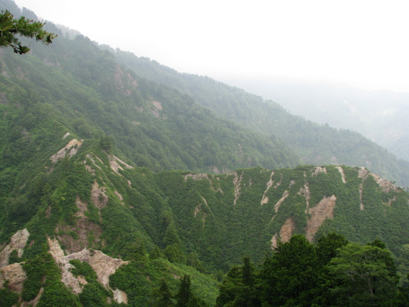 a0087816_18451331.jpg