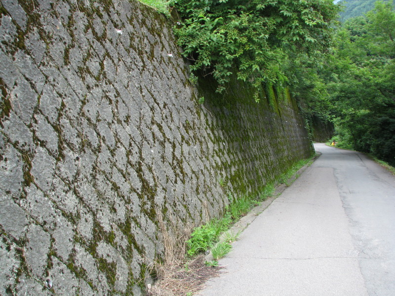 a0087816_19213773.jpg