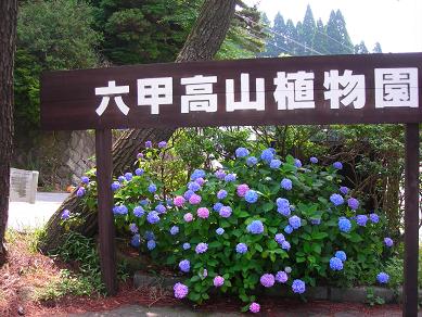 e0090719_23233853.jpg