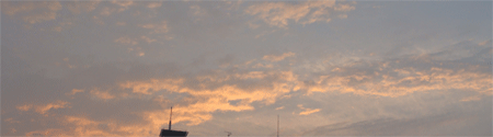 d0002224_19114528.gif