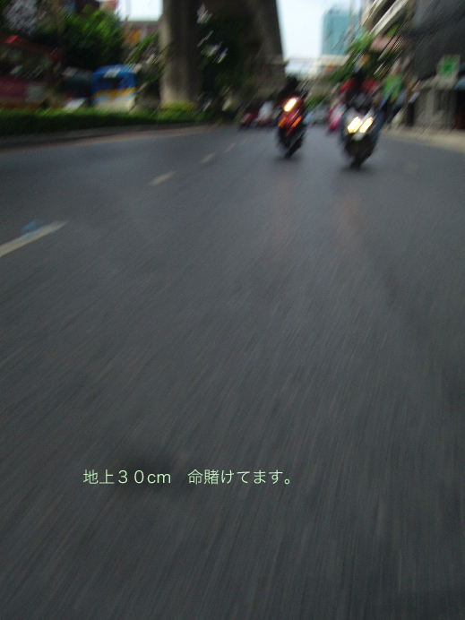 d0042827_1645021.jpg