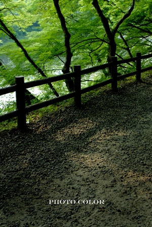 f0078127_8532320.jpg