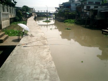 a0083429_1555627.jpg