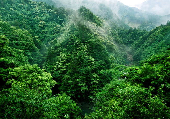d0147530_4332561.jpg