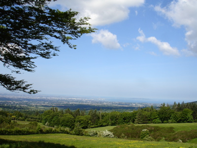 b0026633_22543181.jpg