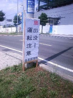 b0006537_1230240.jpg