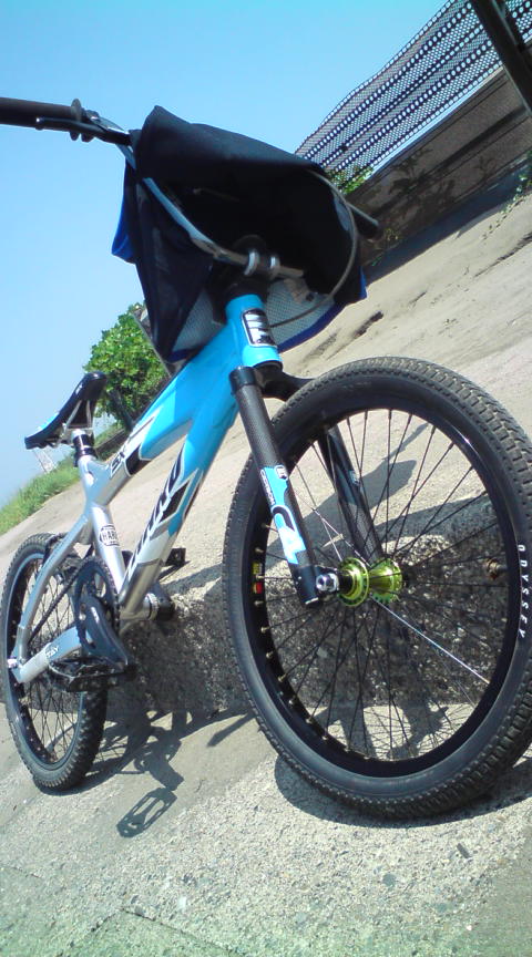 c0054838_1238305.jpg