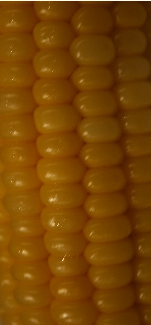 e0104941_245792.jpg