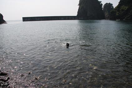 f0107145_13164946.jpg
