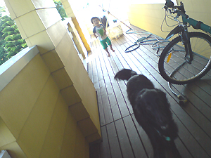 f0095047_13241284.jpg