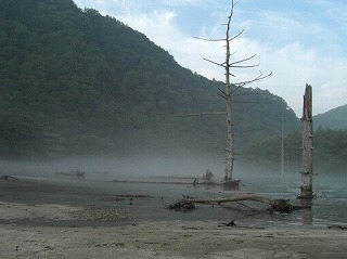 f0009451_220957.jpg