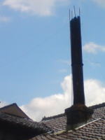 d0151154_2304798.jpg